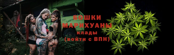 прущие грибы Володарск
