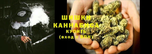 крисы Бронницы