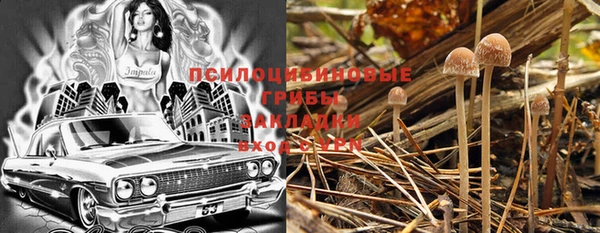 гашик Верхний Тагил