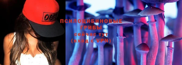 не бодяженный Бородино