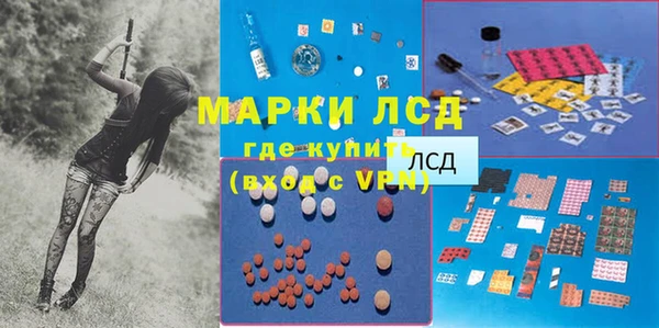 крисы Бронницы