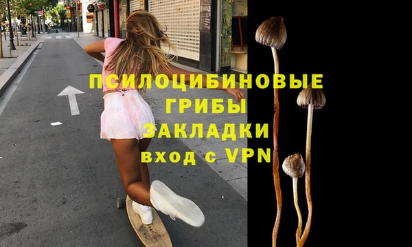 стафф Верея