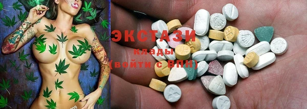 крисы Бронницы